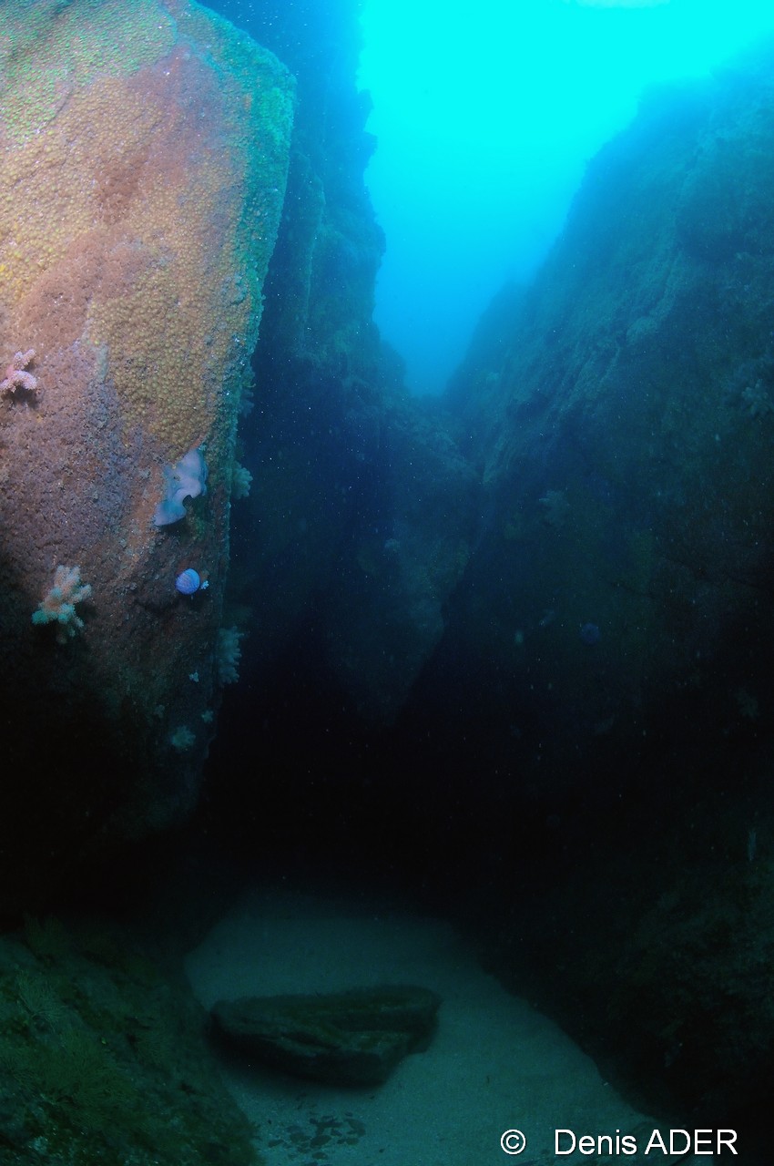 Ambiance grotte-Morlaix trepied-33m-20150711-Denis-ADER-DSC_1985_tn.jpg